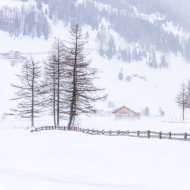 Donmuş bir köy manzarası, kış manzarası
