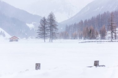 Donmuş bir köy manzarası, kış manzarası