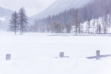 Donmuş bir köy manzarası, kış manzarası