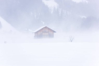 Donmuş bir köy manzarası, kış manzarası