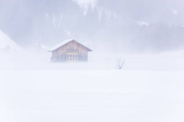Donmuş bir köy manzarası, kış manzarası