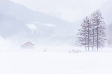 Donmuş bir köy manzarası, kış manzarası