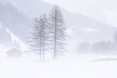 Donmuş bir köy manzarası, kış manzarası