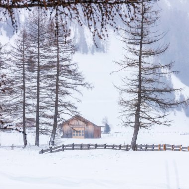 Donmuş bir köy manzarası, kış manzarası