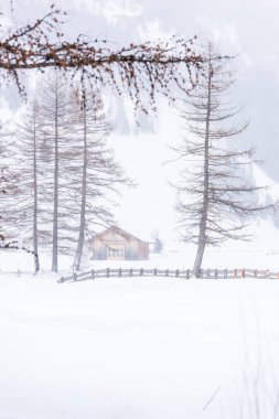 Donmuş bir köy manzarası, kış manzarası