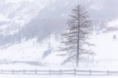 Donmuş bir köy manzarası, kış manzarası