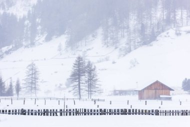 Donmuş bir köy manzarası, kış manzarası