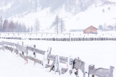 Donmuş bir köy manzarası, kış manzarası
