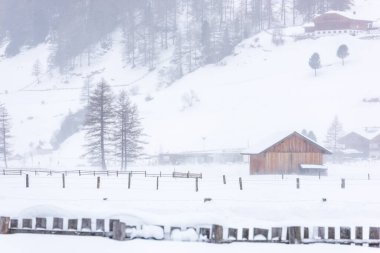 Donmuş bir köy manzarası, kış manzarası