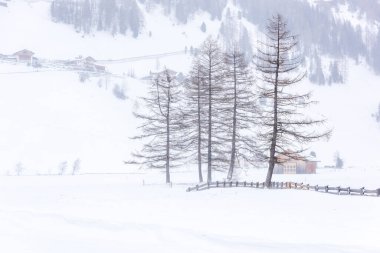 Donmuş bir köy manzarası, kış manzarası