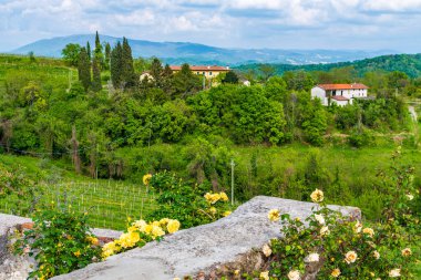 Eski şehrin güzel manzarası.