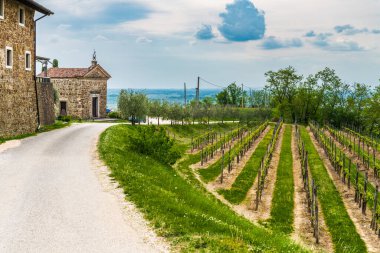 Toskana, İtalya 'daki eski ortaçağ köyünün güzel manzarası