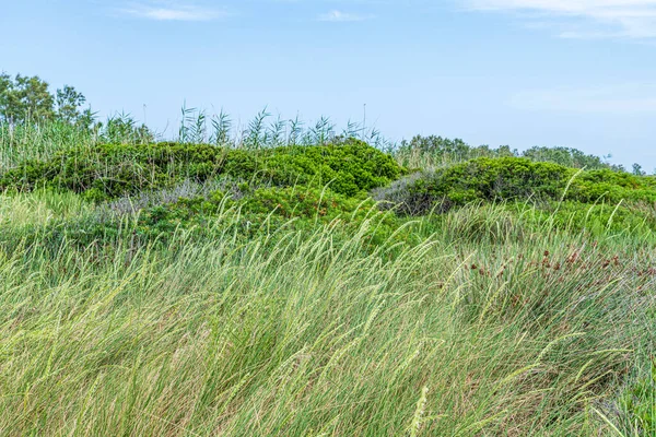 Torre Canne, İtalya: 18 Haziran 2019: Güneydoğu İtalya kıyı köyü Torre Canne 'in güzel manzarası.