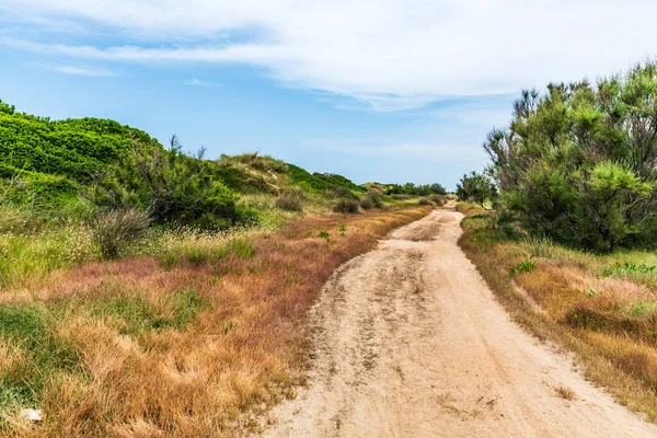 Torre Canne, İtalya: 18 Haziran 2019: Güneydoğu İtalya kıyı köyü Torre Canne 'in güzel manzarası.