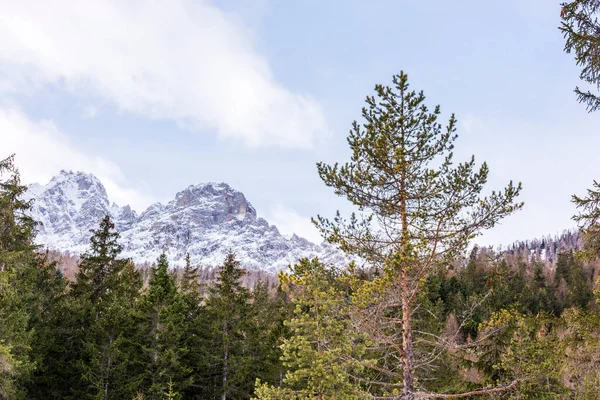 Dağları ve ağaçları olan güzel bir manzara.