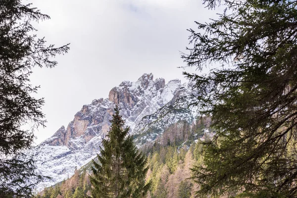 Dolomitler. Buz ve kar arasında kış. Tre Scarperi Sığınağı. Tre Cime di Lavaredo yolunda.