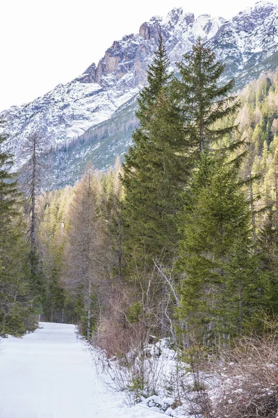 Dolomiten Winter Zwischen Eis Und Schnee Zuflucht Tre Scarperi Auf — Stockfoto