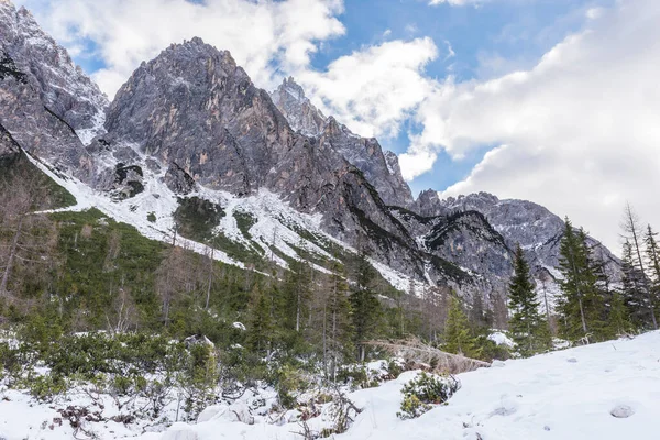 Prachtig Uitzicht Besneeuwde Bergen Groenblijvende Bomen — Stockfoto