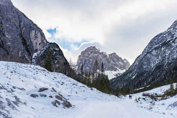 Hermosa Vista Las Montañas Nevadas Árboles Siempreverdes — Foto de Stock