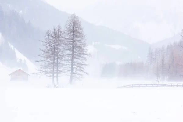 View Frozen Village Winter Landscape — Stock Photo, Image