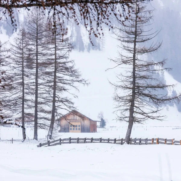 Donmuş bir köy manzarası, kış manzarası