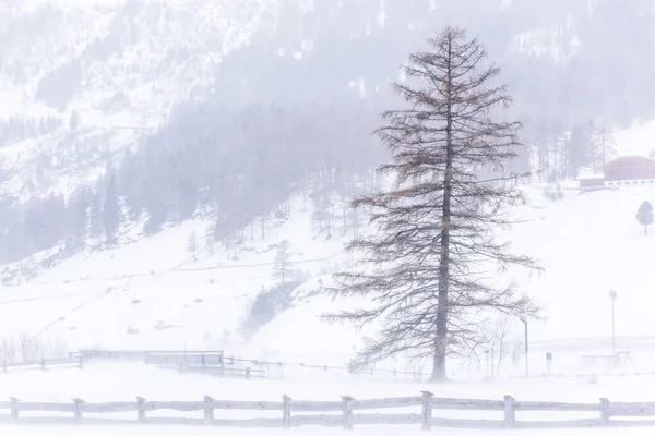 Donmuş bir köy manzarası, kış manzarası
