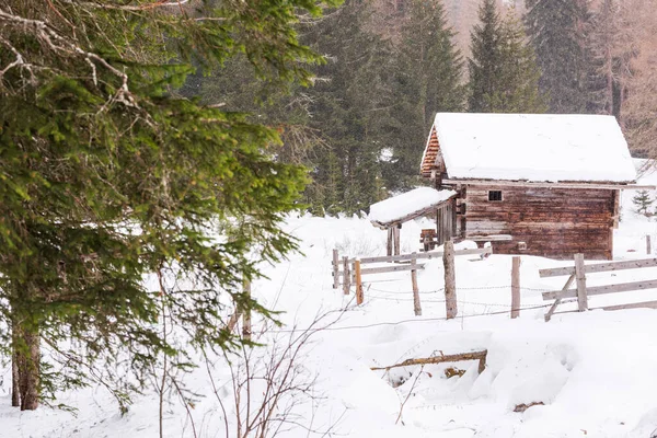 Donmuş bir köy manzarası, kış manzarası