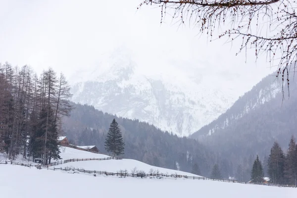 Donmuş bir köy manzarası, kış manzarası