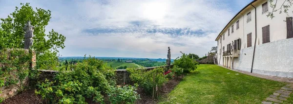 Schöner Weinberg Sommernachmittag — Stockfoto