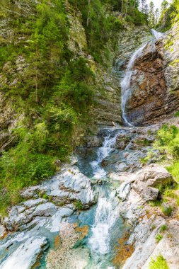 Sappada patikaları boyunca yaz şelaleleri. Friuli. Dolomitler