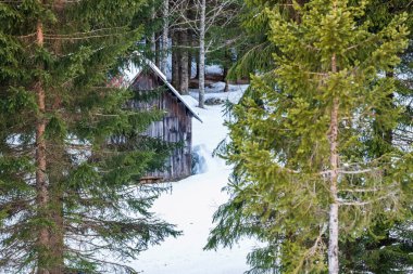 İtalya 'nın Friuli bölgesinde kışın eski ahşap evler