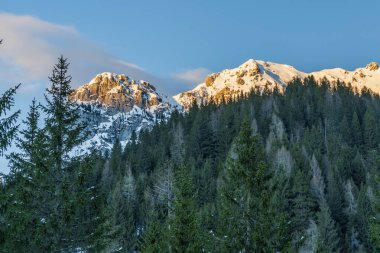 Karlı dağları ve yemyeşil ağaçları olan güzel bir manzara. 