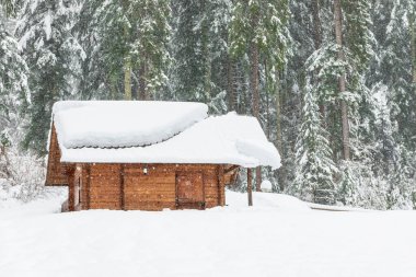 Kışın Sappada Dolomites dağlarında soğuk ve karlı bir kış.