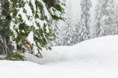 Kışın Sappada Dolomites dağlarında soğuk ve karlı bir kış. 
