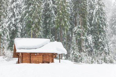 Kışın Sappada Dolomites dağlarında soğuk ve karlı bir kış.