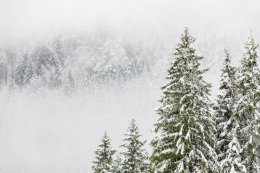 Kışın Sappada Dolomites dağlarında soğuk ve karlı bir kış.