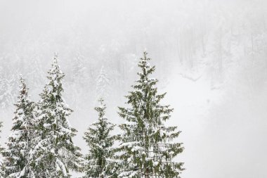 Kışın Sappada Dolomites dağlarında soğuk ve karlı bir kış.
