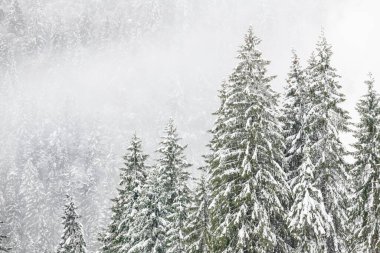 Kışın Sappada Dolomites dağlarında soğuk ve karlı bir kış.