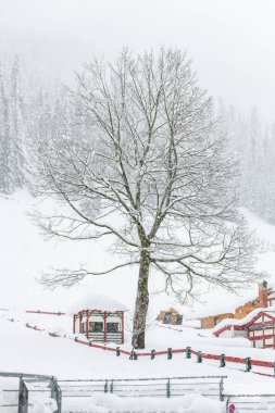 Kar yağarken Sappada antik köy binalarının manzarası çok güzel. 