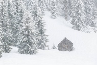 Kar yağarken Sappada antik köy binalarının manzarası çok güzel. 