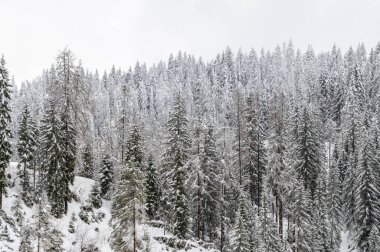 Güzel kış manzarası karla kaplı ağaçlar ve kırsal kır evi