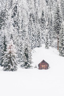 Güzel kış manzarası karla kaplı ağaçlar ve kırsal kır evi