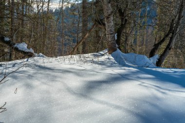 Karlı dağları olan güzel bir kış manzarası. İtalya 'nın Friuli-Venezia Giulia bölgesinde Udine ili Sauris komünü manzarası. Sauris, Friuli 'nin Carnia dağlık bölgesinde, Carnic Alpleri' nin Lumiei Vadisi 'nde yer almaktadır..