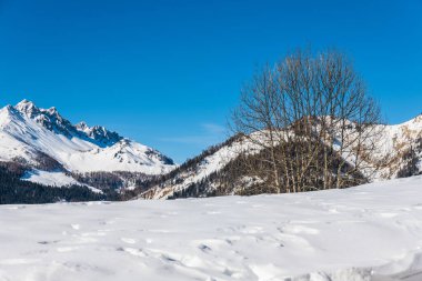 İtalya 'nın Friuli-Venezia Giulia bölgesinde Udine ilindeki Sauris komünü manzarası