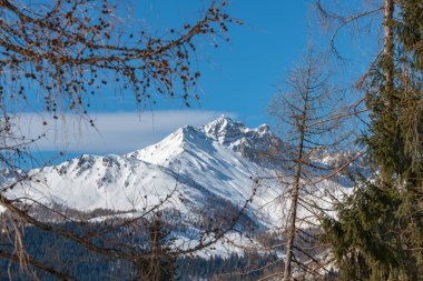 Karlı dağları olan güzel bir kış manzarası. İtalya 'nın Friuli-Venezia Giulia bölgesinde Udine ili Sauris komünü manzarası. Sauris, Friuli 'nin Carnia dağlık bölgesinde, Carnic Alpleri' nin Lumiei Vadisi 'nde yer almaktadır..