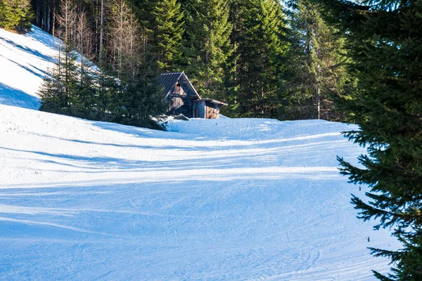 Maisons Anciennes Bois Hiver Dans Région Frioul Italie — Photo