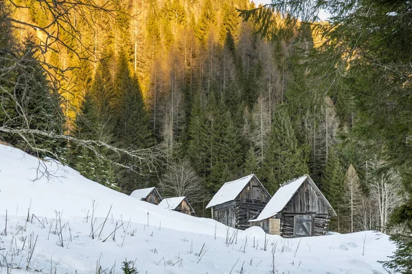 Antiguas Casas Madera Invierno Región Friuli Italia —  Fotos de Stock