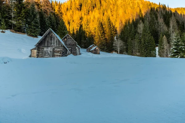 Antiguas Casas Madera Invierno Región Friuli Italia —  Fotos de Stock