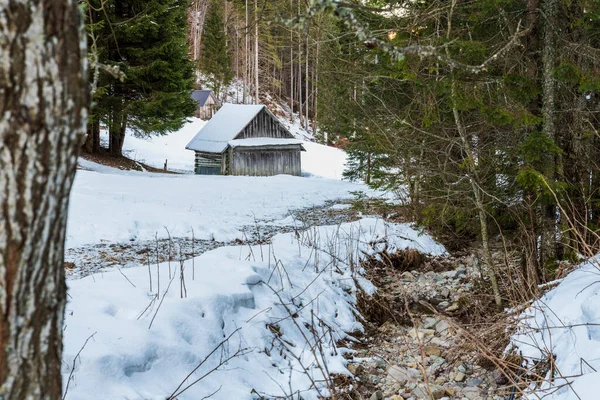 Oude Houten Huizen Winter Bij Friuli Regio Italië — Stockfoto