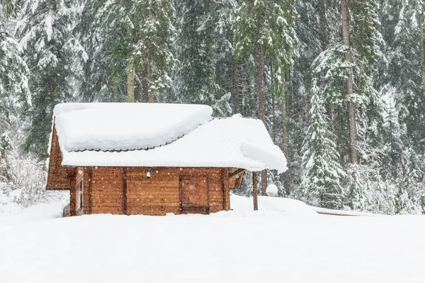 Kışın Sappada Dolomites dağlarında soğuk ve karlı bir kış.